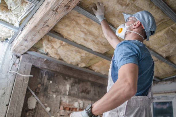 Best DIY Insulation Kits and Guidance in Duncanville, TX