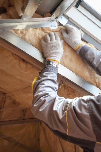 Best Fiberglass Insulation in Duncanville, TX