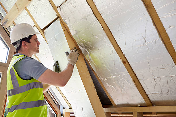 Best Cellulose Insulation in Duncanville, TX