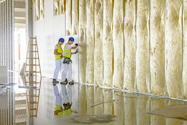 Best Specialized Insulation Services in Duncanville, TX